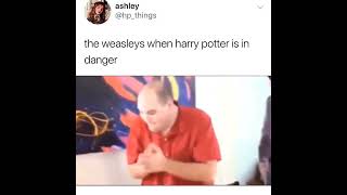 The Weasleys when Harry Potter is in danger 😂😂 this gave me chillsharrypotter [upl. by Greerson]