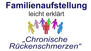 Familienaufstellung einfach erklärt quotChronische Rückenschmerzenquot [upl. by Oettam879]