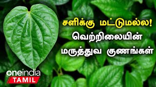 வெற்றிலை மருத்துவ குணங்கள்  சளிக்கு மட்டுமல்ல  Vetrilai Health Benefits in Tamil  Oneindia Tamil [upl. by Etoile]