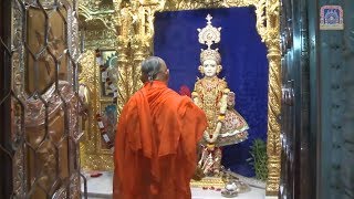 Swaminarayan Aarti  Jay Sadguru Swami [upl. by Aelahc70]