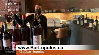 Bar Lupulus  Rogers tv [upl. by Tellford127]