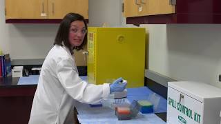 Intro to Multichannel Pipetting [upl. by Philbrook]