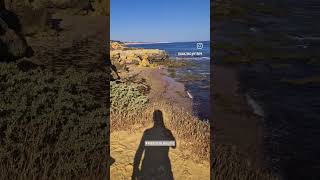 Algarve Portugal algarve portugal summer dronevideo google gooleearth [upl. by Gaidano968]