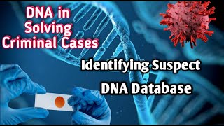 How Forensic DNA Solved Crimes  Role of DNA in Criminal Investigation [upl. by Stutzman]