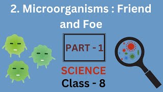 Microorganisms  Friend and Foe part1  Chapter 2  Class 8 Science  NCERT [upl. by Jerrold]