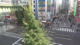 オノデンch【秋葉原ライブカメラ Akihabara live camera】 [upl. by Norty]