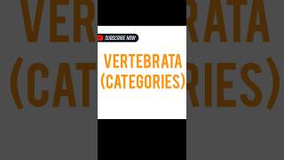 VERTEBRATA Categories [upl. by Kinsley]