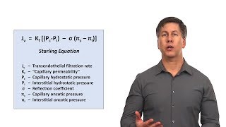 An Approach to Peripheral Edema [upl. by Hayden]