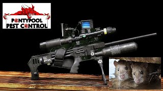 air rifle shooting rats 2020 [upl. by Whitby]