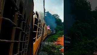 Runaway Song Train Status Dudhsagar Waterfall train trainstatus runaway aurora cover music [upl. by Idnyc]