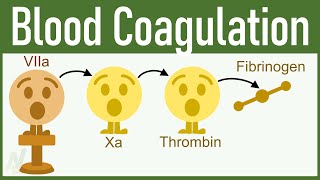 You Will FALL IN LOVE WITH PHYSIOLOGY After watching This Video on Blood Coagulation [upl. by Radman182]