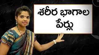 Names of body parts in telugu  శరీర భాగాల పేర్లు  Learn Telugu for all [upl. by Elnora]