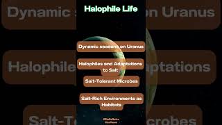 Salty Survivors 5 Intriguing Facts About Halophile Life astrobiology spacewonders alienlife [upl. by Pleasant266]