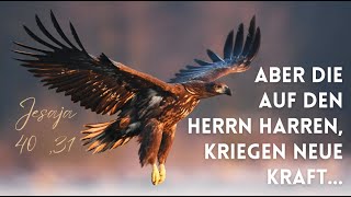 ABER DIE AUF DEN HERRN HARREN KRIEGEN NEUE KRAFT [upl. by Anneis]