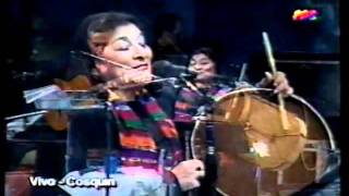 Mercedes Sosa  Agitando pañuelos [upl. by Jarietta602]