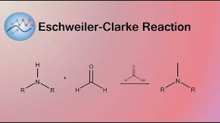 EschweilerClarke Reaction Mechanism  Organic Chemistry [upl. by Nirda]