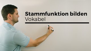 Stammfunktion bilden Vokabeln Aufleiten Integralrechnung  Mathe by Daniel Jung [upl. by Einnahc]