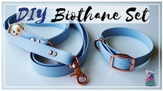 DIY BIOTHANE SET  LEINE HALSBAND HUND [upl. by Craner457]