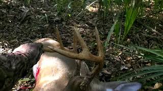 Florida WMA Public Land Deer Hunt [upl. by Saxena310]