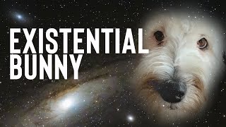 Bunny The Talking Dog Has Existential Thoughts [upl. by Ahseena]