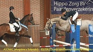 FINALE VSN TROFEE  Impressionen  Indoor Twente  2013 [upl. by Tarrant]