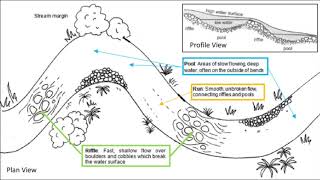 Field Techniques Aquatic Macroinvertebrate Sampling [upl. by Ellekcim215]