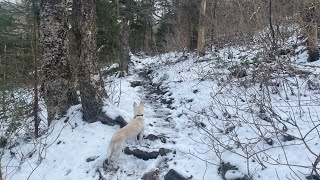 Stratton Mountain Vermont ATLT [upl. by Cam]