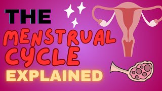 The Menstrual Cycle Explained  4 PHASES OF MENSTRUAL CYCLE MADE EASY [upl. by Cindee828]