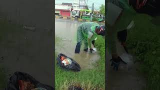 Drain Massive Flood Rain On Street Road drain culvert shorts [upl. by Anik857]