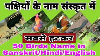 50 Birds Name in SanskritHindiEnglishPakshiyon Ke Naam for all examsसंस्कृत में पक्षियों के नाम [upl. by Arodaeht20]