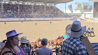 Greeley Stampede Rodeo 2024 [upl. by Osner352]