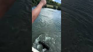 Feeding Sea Lions at Longleat Safari [upl. by Xer]