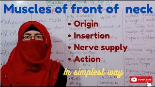 Muscles of front of neck  origin  insertion  nerve supply  action  head and neck anatomy [upl. by Dita]