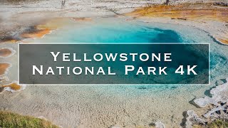 Yellowstone Season 1 Trailer  Rotten Tomatoes TV [upl. by Prebo]