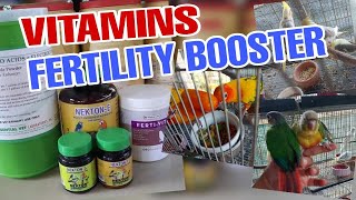 HOW TO GIVE FERTILTY BOOSTERVITAMINS TO COCKATIELS GCC SUN CONURES NEKTONE FERTIVIT [upl. by Lirba]