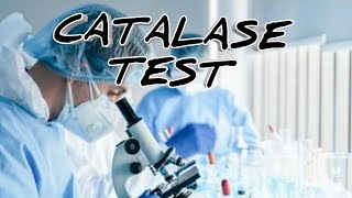 Catalase Activity Assay  How To Assay Peroxidase Activity  Catalase Experiment [upl. by Ahsikram]