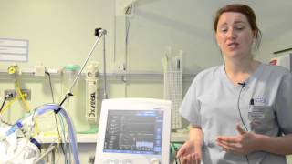 Introduction to ICU Training Video [upl. by Lukey]