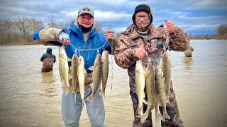 Walleye Fishing from Shore was a SUCCESS  Maumee River Walleye Run 2023 [upl. by Gaulin603]