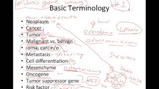 Introduction to Cancer [upl. by Leund]