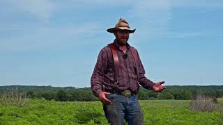 Ragweed Control in a Native Warm Season Grass Pasture [upl. by Ithsav76]