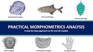 1 Morphometrics Analysis Understanding Morphometrics concept [upl. by Godden]