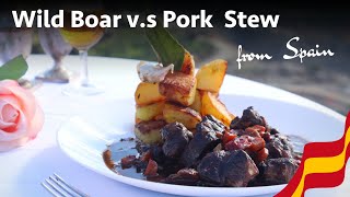 Wild Boar vs Pork Stewoff Is pork a good substitute [upl. by Krischer102]