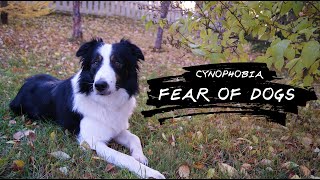 Facing Fears  A Journey Through Cynophobia 3 Minutes [upl. by Ynned]