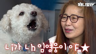 임영웅만큼 트로트 잘 부르는 개 봤슈 ★ㅣLim Youngwooong Song Gain of Doggo World ★ [upl. by Randolf226]