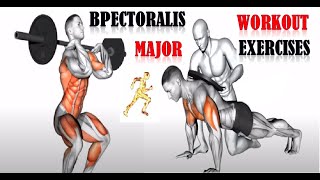 Workout For Building Your Pectoralis Major Top 18 Chest Exercises For Strength And Shape [upl. by Tavis]