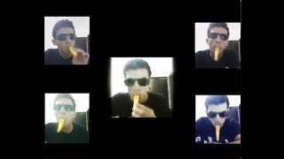 The Final Countdown Kazoo cover [upl. by Anuqahs731]