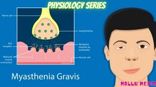 MYASTHENIA GRAVIS  MBBS PHYSIOLOGY  FIRST YEAR  MALAYALAM EXPLANATION [upl. by Ttesil]