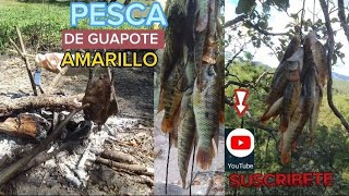 PESCA DE GUAPOTE AMARILLO CON ANZUELO🎣 [upl. by Anelak]