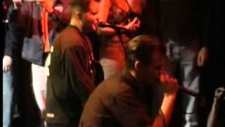 Dropkick Murphys  Barroom Hero  Live [upl. by Leddy12]