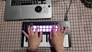 NOVATION LAUNCHKEY MINI MK3 l Live looping [upl. by Crichton340]